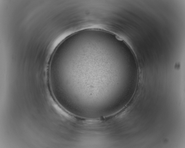 X0000112981151200909031103