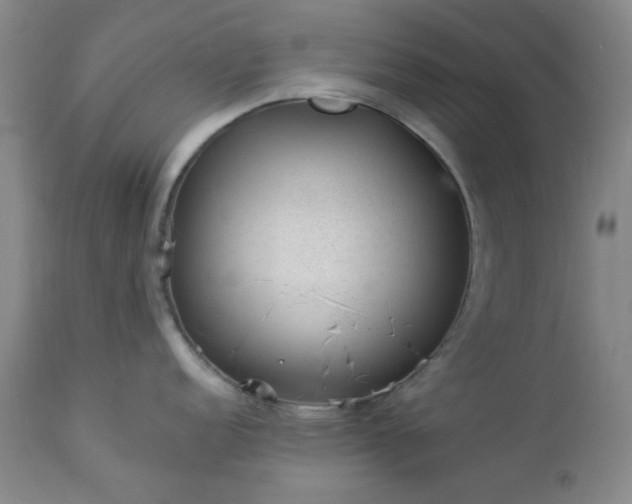 X0000112981152200909031103