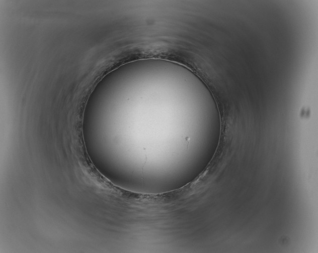 X0000112981153200909031102