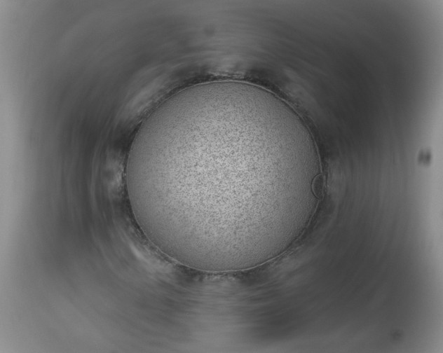 X0000112981154200909031102