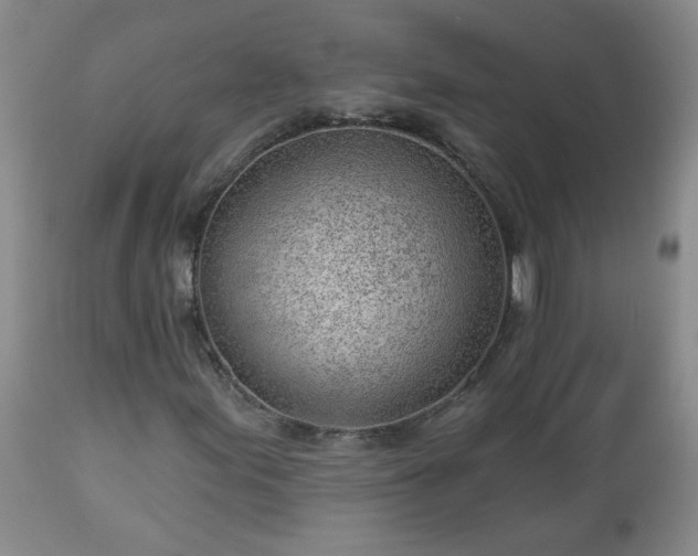 X0000112981155200909031102