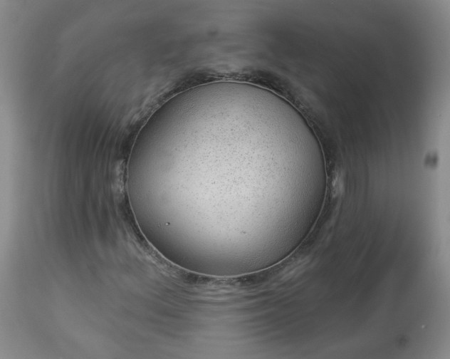 X0000112981156200909031102