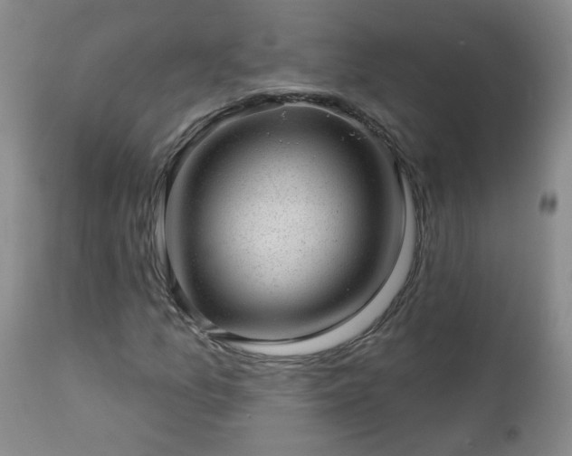 X0000112981157200909031102