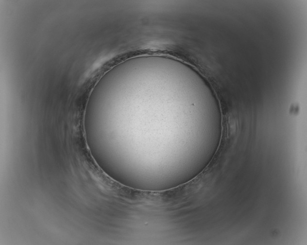 X0000112981158200909031102