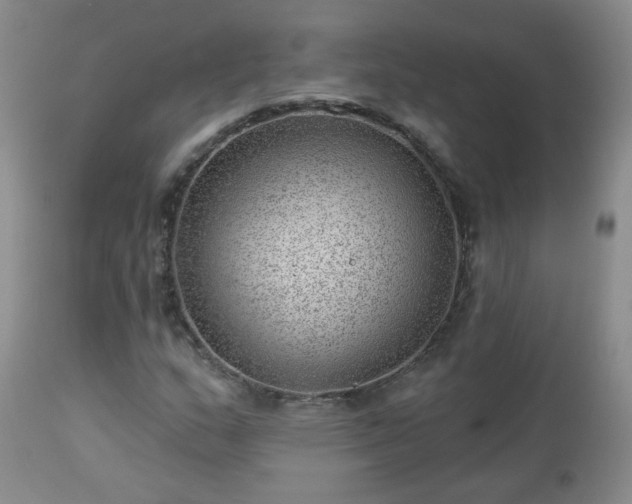 X0000112981159200909031102