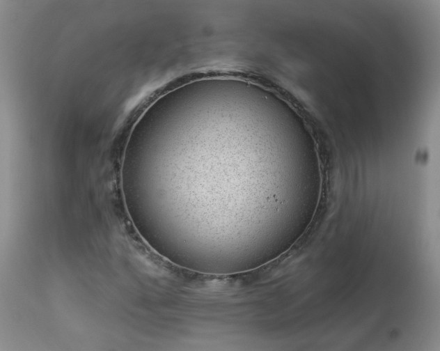 X0000112981160200909031102