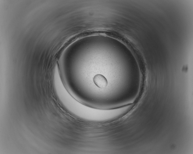 X0000112981161200909031102