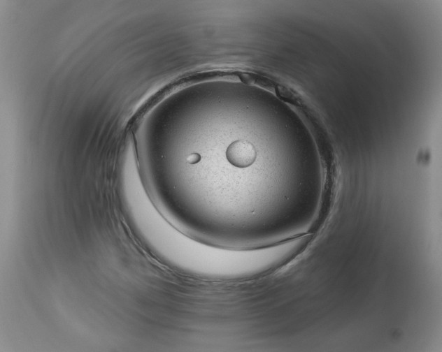 X0000112981162200909031102