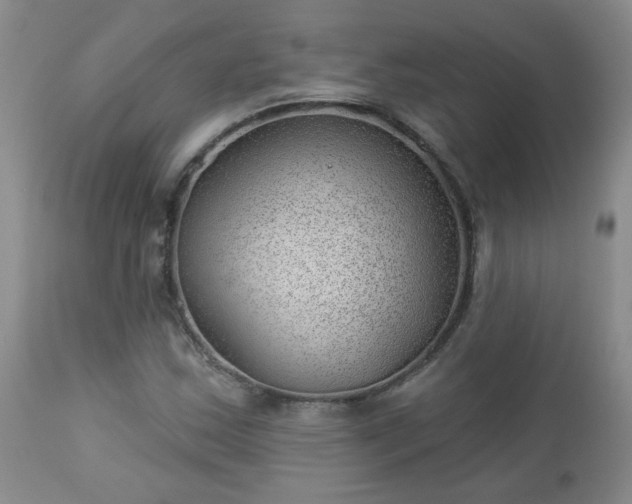 X0000112981163200909031102