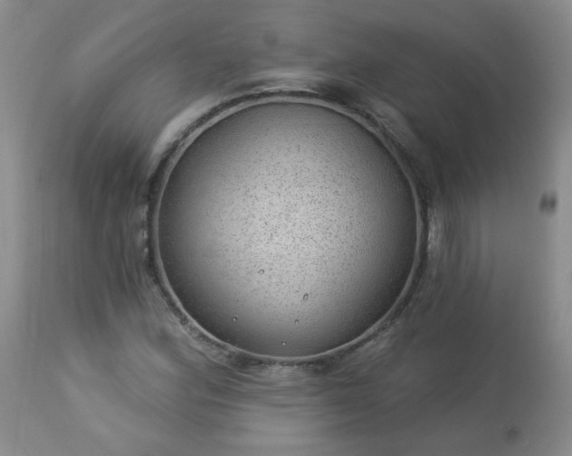 X0000112981164200909031102