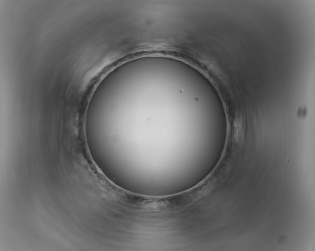 X0000112981165200909031102