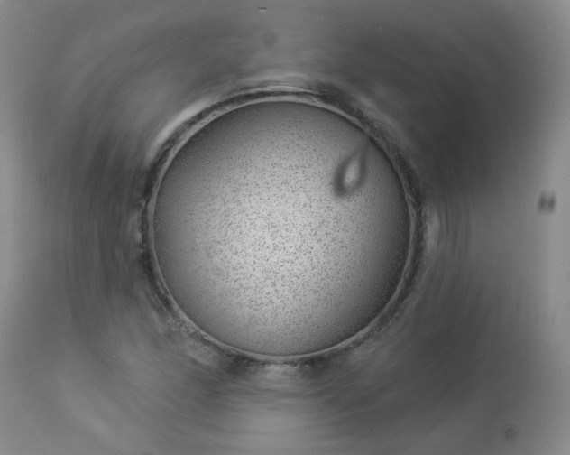 X0000112981166200909031102