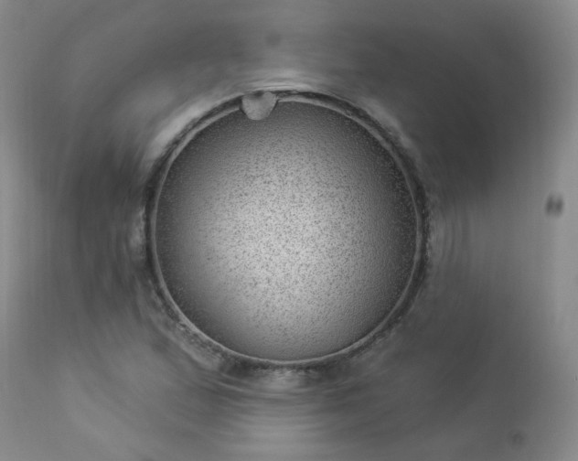 X0000112981167200909031102