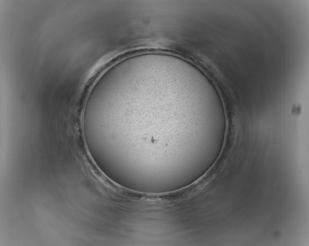 X0000112981168200909031102