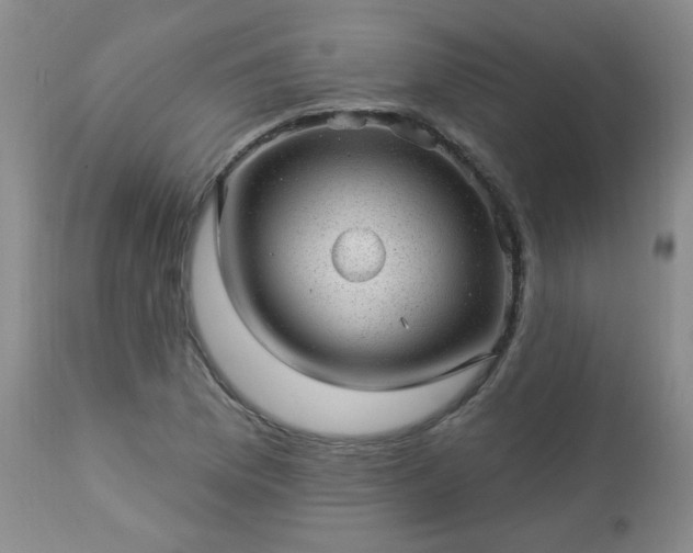 X0000112981169200909031102