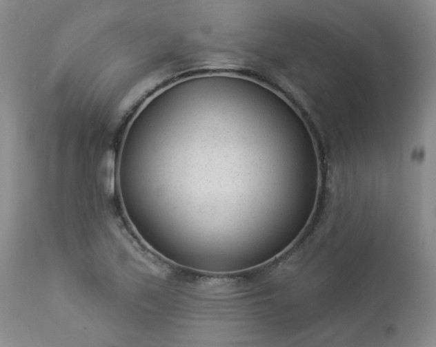 X0000112981171200909031102