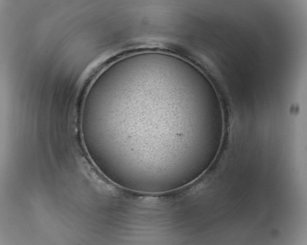 X0000112981172200909031102