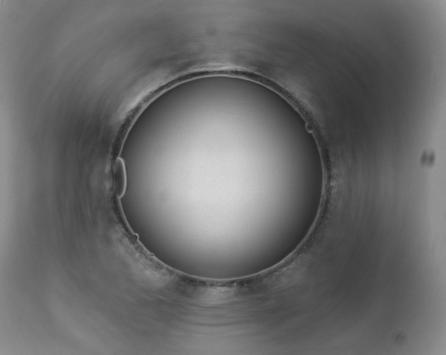 X0000112981173200909031102