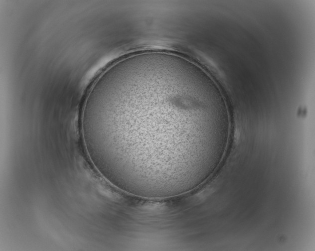 X0000112981174200909031102