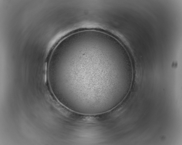 X0000112981175200909031102