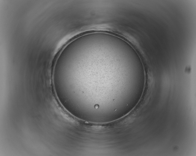 X0000112981176200909031102