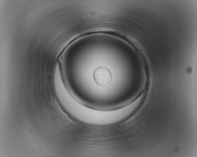 X0000112981177200909031102