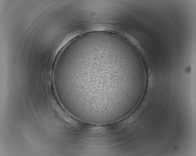 X0000112981178200909031102