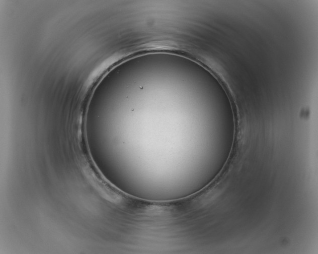 X0000112981179200909031102