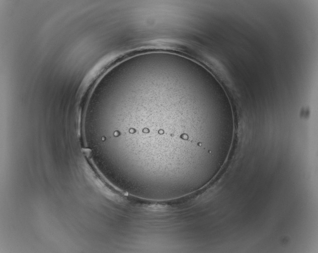 X0000112981180200909031102