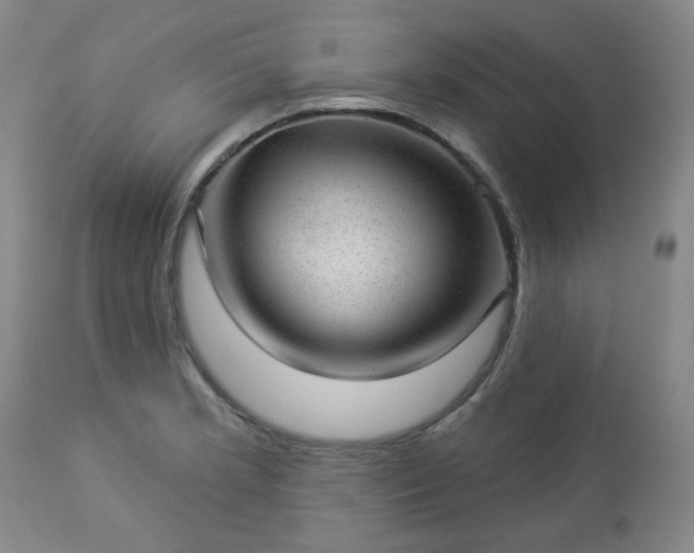 X0000112981181200909031102