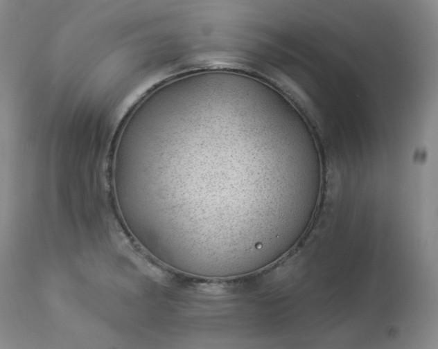 X0000112981182200909031102