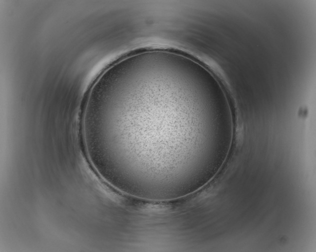 X0000112981183200909031102