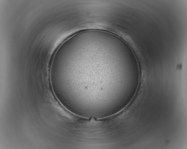 X0000112981184200909031102