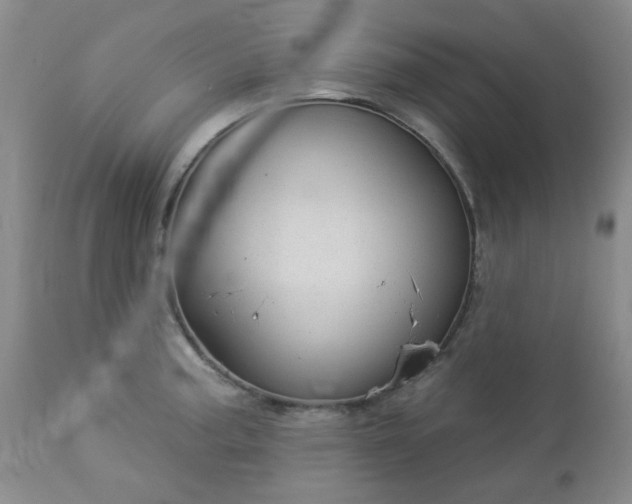 X0000112981187200909031102