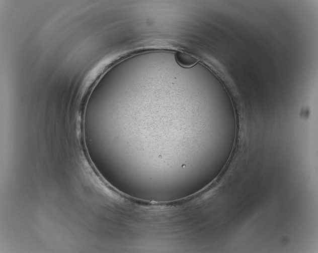 X0000112981188200909031102