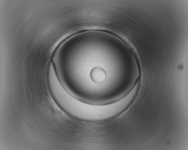 X0000112981189200909031102