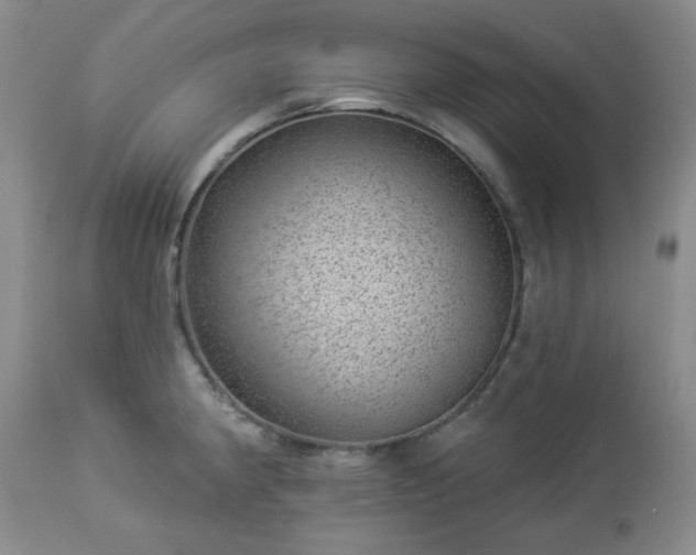 X0000112981190200909031102