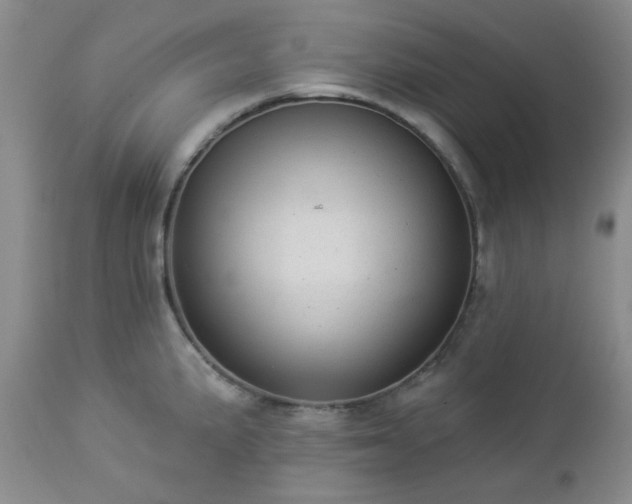 X0000112981191200909031102