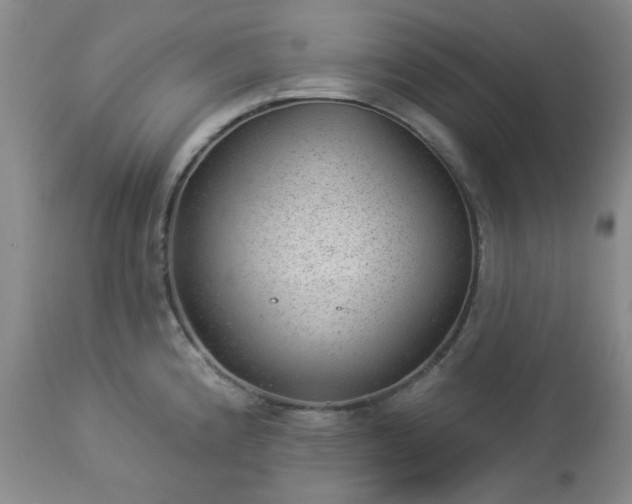 X0000112981192200909031102