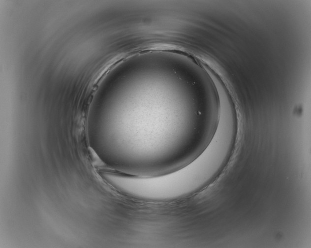 X0000112981193200909031102