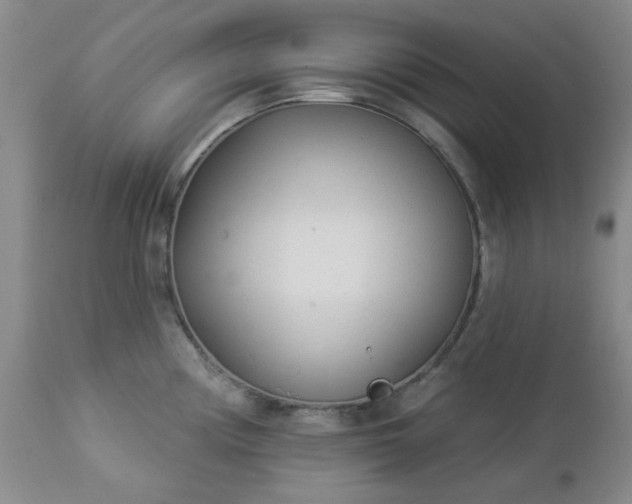 X0000112981194200909031102