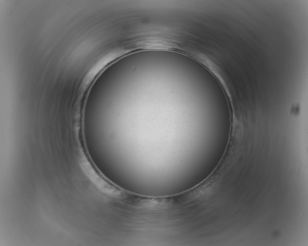 X0000112981195200909031102