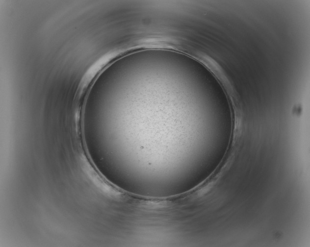 X0000112981196200909031102