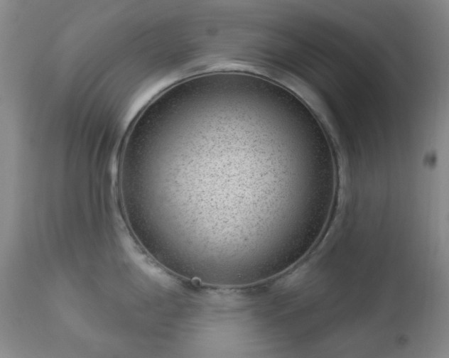 X0000112981198200909031102