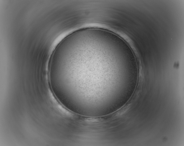 X0000112981199200909031102