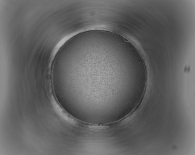 X0000112981200200909031102