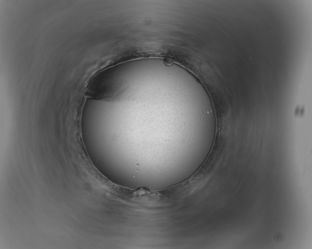 X0000112981201200909031101