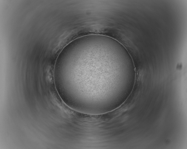 X0000112981202200909031101