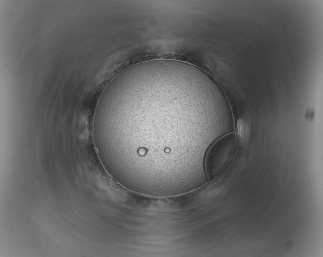 X0000112981203200909031101