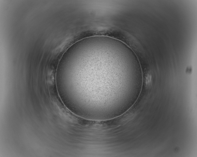 X0000112981204200909031101